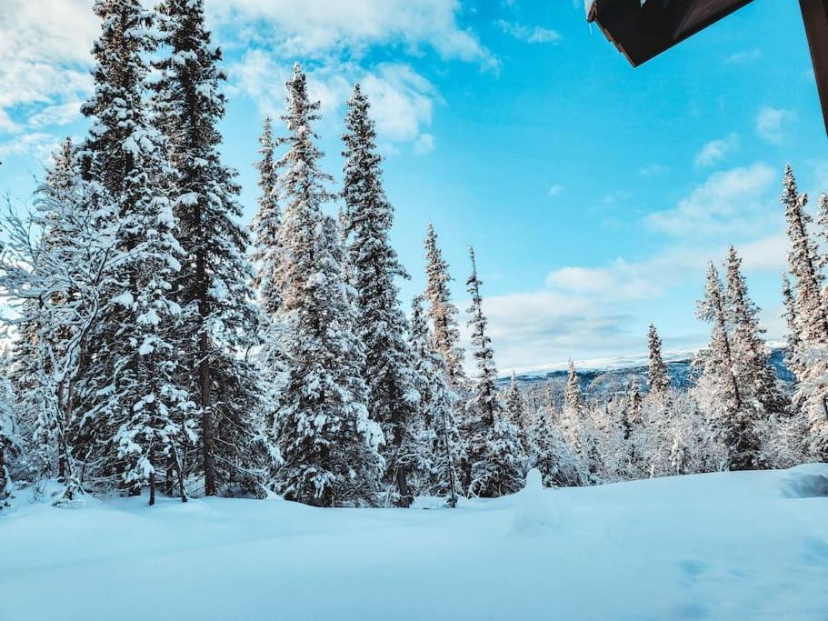 Peaceful Oasis. Panoramic Forest- & Mountain View. Sauna. Beitostolen Экстерьер фото
